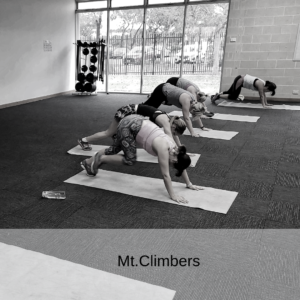 switch2fitness Mt.climber workout